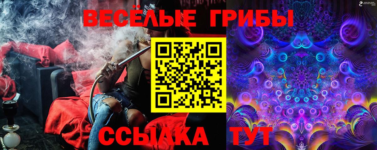 что такое наркотик  Галлюциногенные грибы Psilocybe  Биробиджан  Вход с VPN  Галлюциногенные грибы ЛСД 